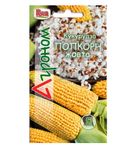 Насіння кукурудза Попкорн жовта 5г Агроном - фото