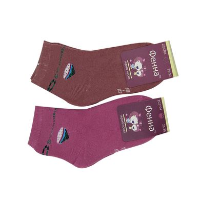 Шкарпетки дитячі термо Фенна (ZC3704) - фото